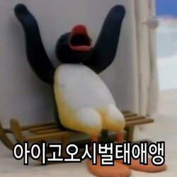 씨벌탱