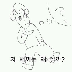 저 새끼는 왜 살까