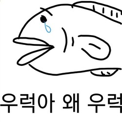 우럭아 왜 우럭 눈물 우럭