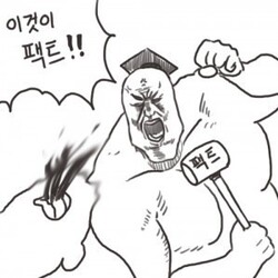 이것이 팩트 팩트폭격 팩트폭력 지실 사실 true