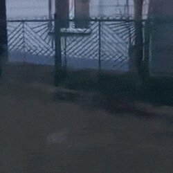 날짜 8일 달력 표지판 멍청이 도로표지판