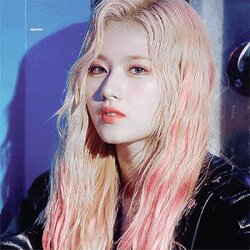 사나 트와이스 움짤 예쁜 아이돌 여자