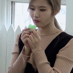 사나 먹방 귀여운 움짤 아이돌 트와이스