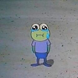 슬개짤 슬픈 개구리 눈물 혼자 홀로 외로움