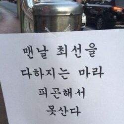 맨날 최선을 다하지는 마라 피곤해서 못산다 명언