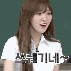 쓰레기 쓰레기네 쓰뤠기네 스웩