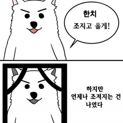 조져