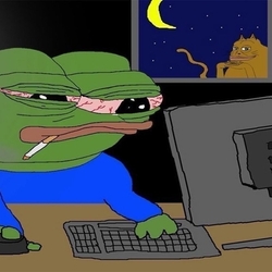 슬개짤 개구리 슬픈