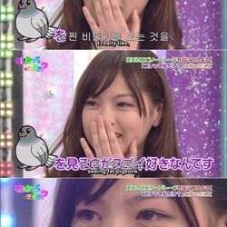 일본 여자 방송 살찐 비둘기 좋아해요 울면서 눈물 뭔소릴 하는거야