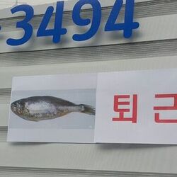 조기퇴근 조기 퇴근