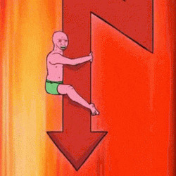 떡락 주식 주식짤 하락 하한가 상한가 폭망 떨어지는 폭락 존버 나락