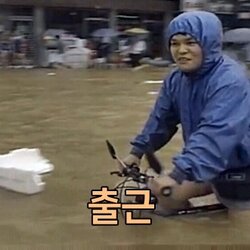 출근 90년대 자전거 타고 폭우 비오는데 물난리 회사 출근길