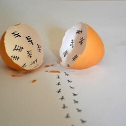 계란 부화 병아리 날짜 기록