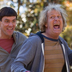 덤앤더머 영화 바보 