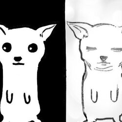 치와와 개 힘듦 피곤 일