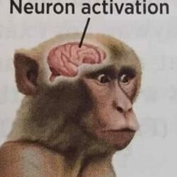 뉴런 활성화 밈짤 음란마귀 neuron activation