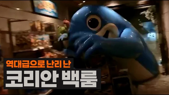 광고맨 · 역대급으로 난리 난 코리안 백룸
