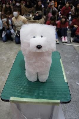 네모네모 멈뭄미체