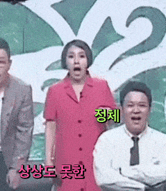 상상도 못한 정체 움짤 생성
