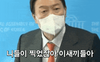 니들이 찍었잖아 만능 움짤 생성기