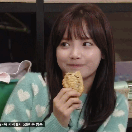 응? 강아지 귀여운 표정 심쿵 뭐지 뭘까 동물 - 오늘의짤방